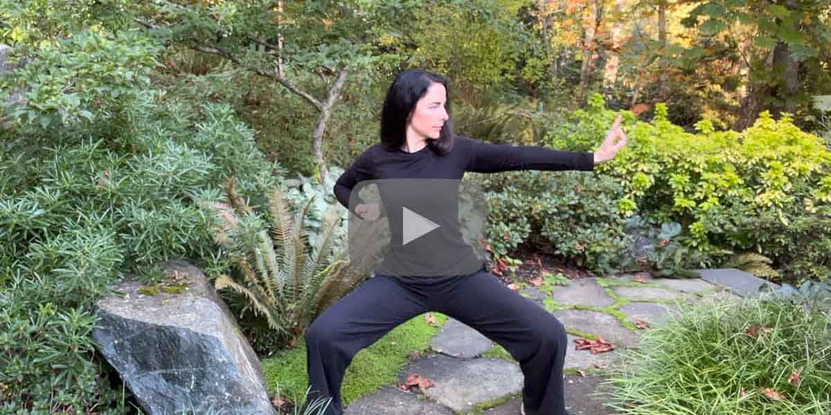 Qigong internal energy cultivation — Wing Chun Qigong training