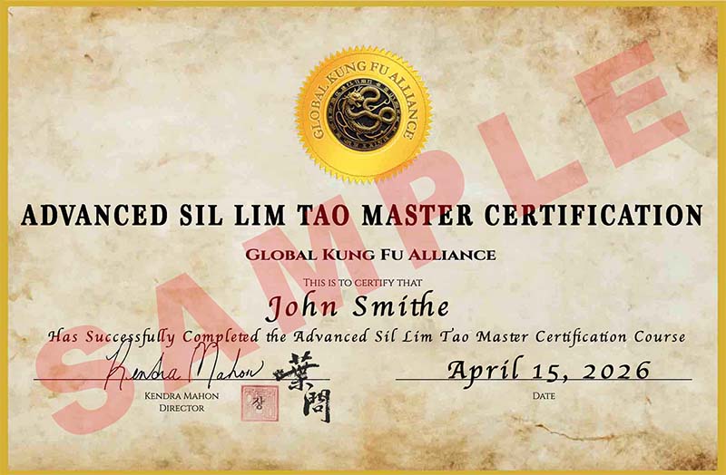 Advanced Sil Lim Tao Master Certificate