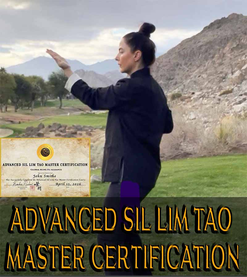 Advanced Sil Lim Tao — centerline hand positioning