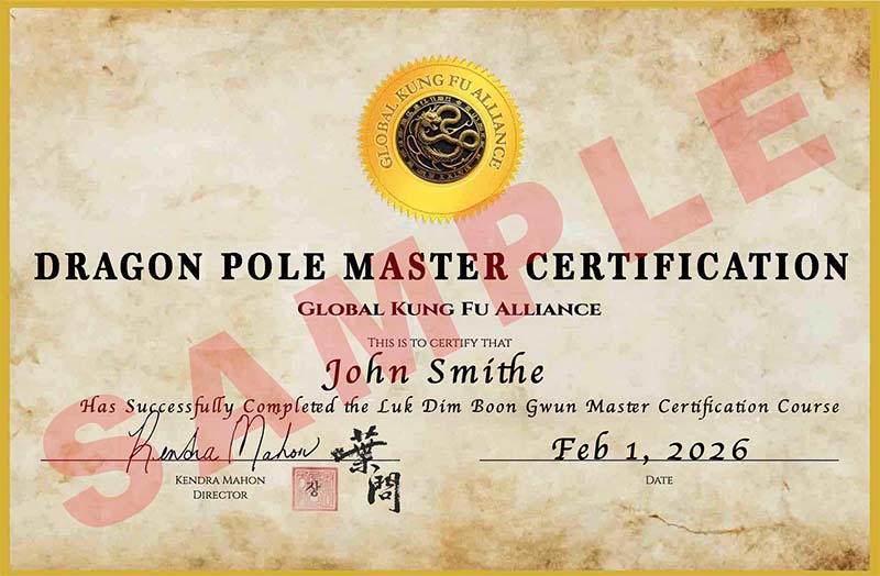Dragon Pole Master Certification Sample