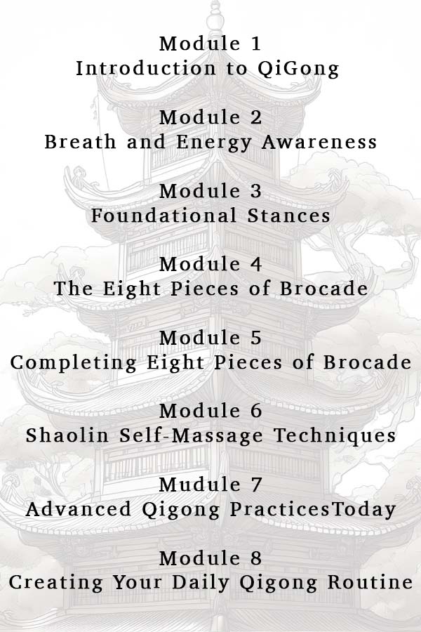 Qigong Training Online Course Kung Fu Kendra