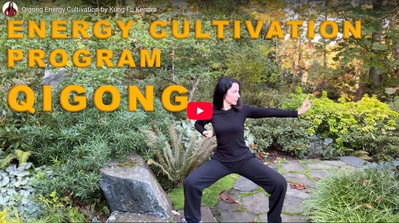 Qigong Energy Cultivation Course Thumbnail