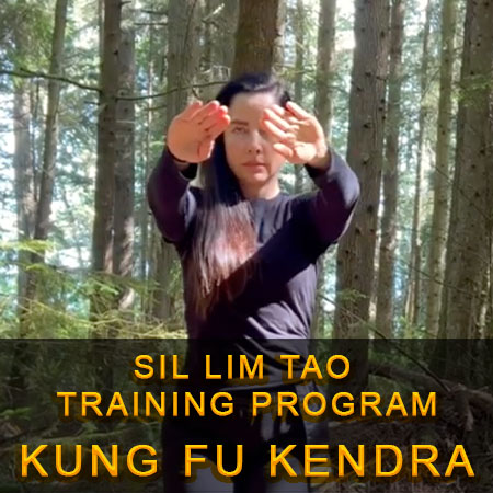 Sil Lim Tao Video Program Kung fu Kendra