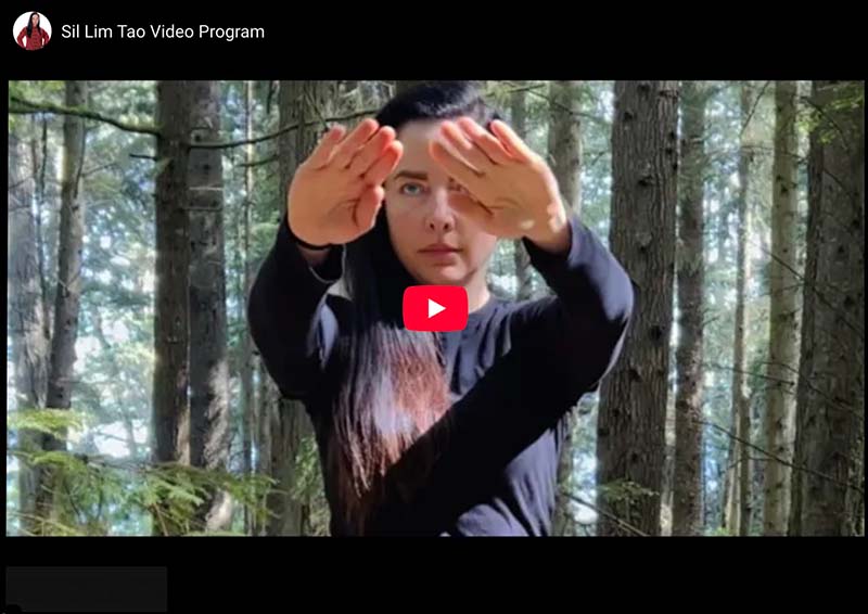 Sil Lim Tao Video Program thumbnail