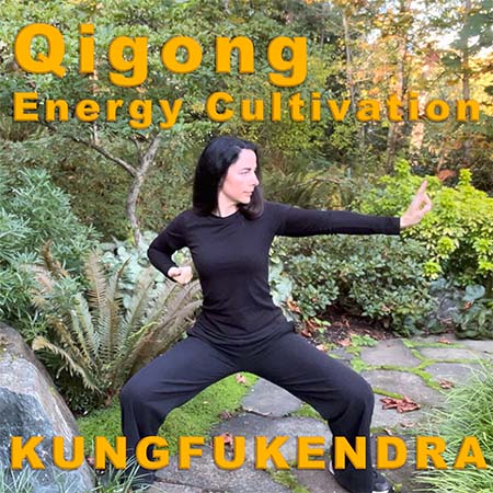 Qigong Course