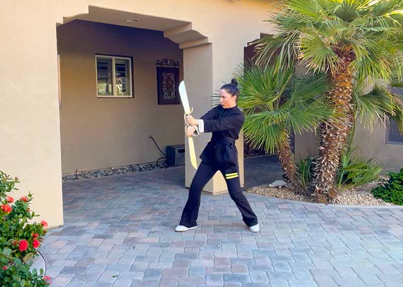 Complete Butterfly Swords Training Program - Wing Chun Weapon Mastery Wing Chun Butterfly Sword Program training course