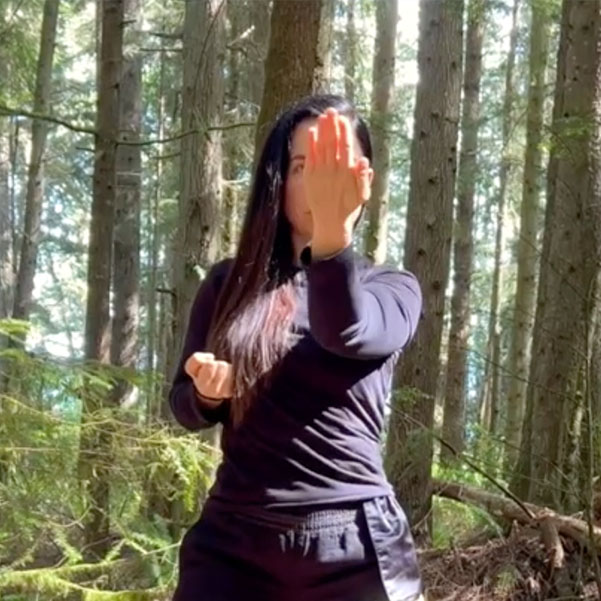 Tan Sao Technique