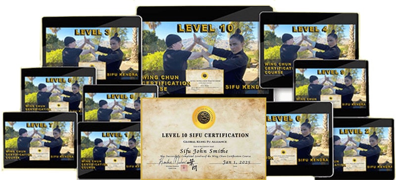 Wing Chun Video Program Bundle Package