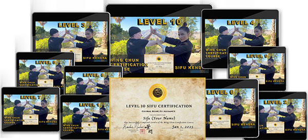 ten tablets showing 2 people doing wing chun