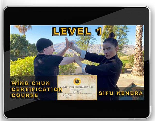 tablet showing 2 people doing wing chun