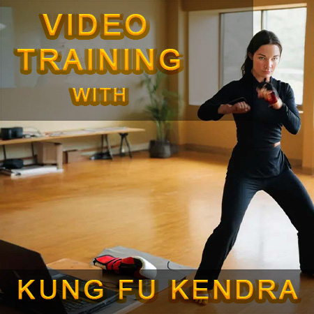 Zoom Video Fitness Training with Kung fu Kendra